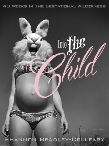 Into the Child Book Cover
