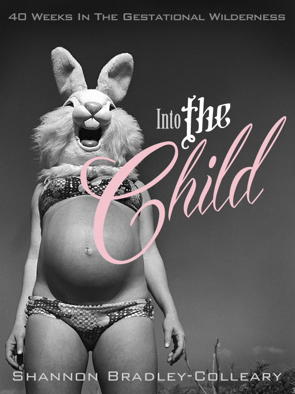 Into the Child Book Cover