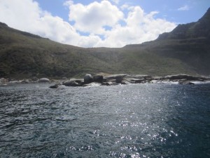 Boat Trip To Seal Island