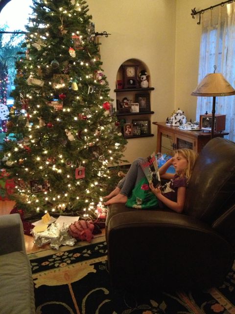 Bridget with our tree, awaiting the day she can pillage