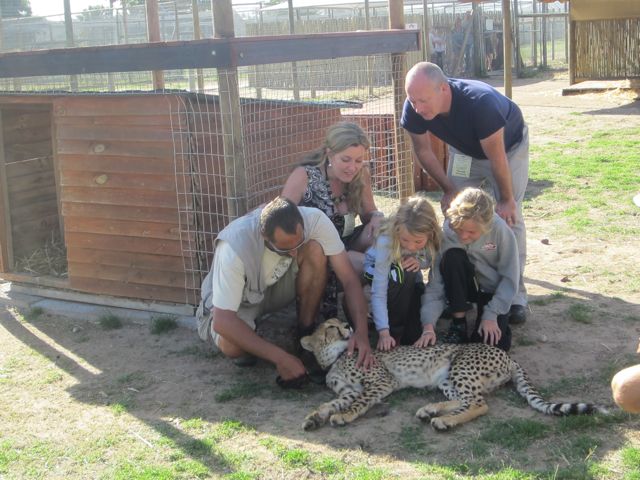 I camouflaged with a little leopard print in my dress. Leopards can beat up cheetahs which was comforting. This is Eigg and she is 8 month old.