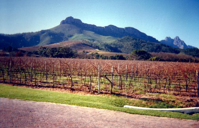 Stellenbosch on a clear day.