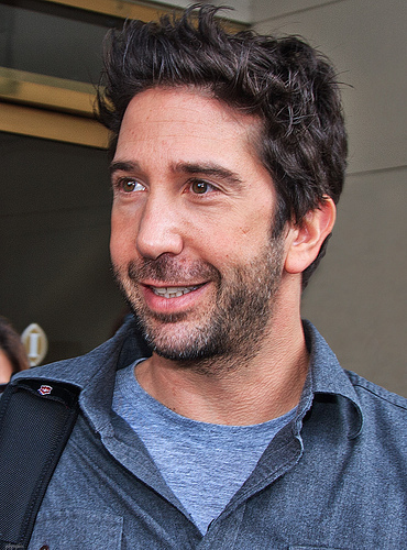 David Scwimmer