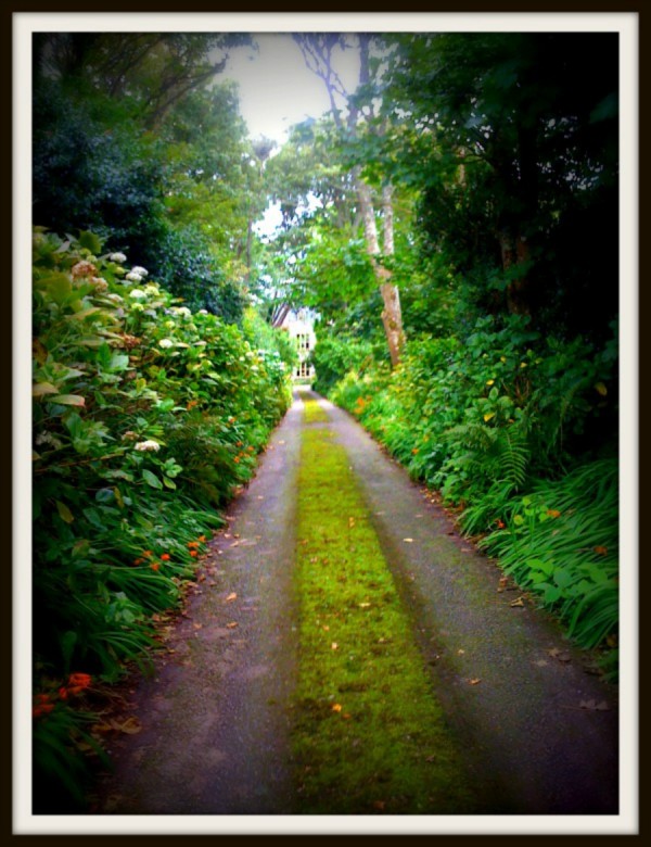 Road to Ardtarmon2