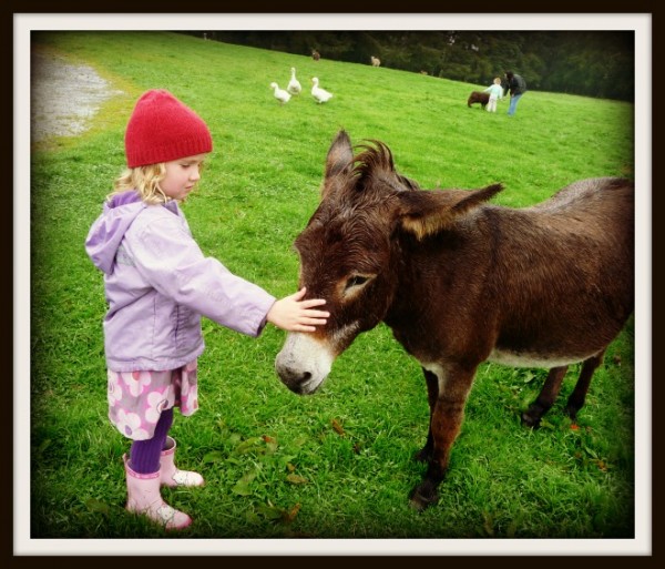 Bridget and Donkey