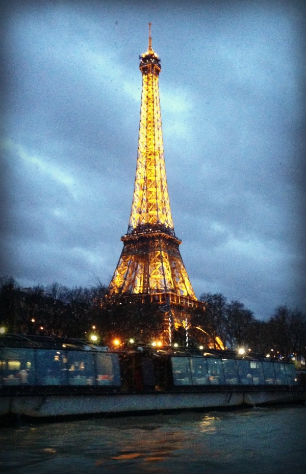 Shannon Bradley Colleary, Eiffel Tower, traveling with kids in Paris